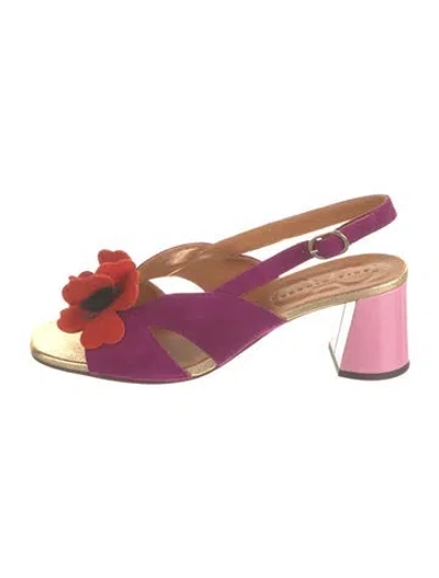 Pre-owned Chie Mihara Suede Floral Print Slingback Sandals In Pink