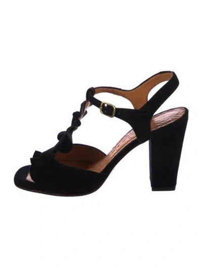 Pre-owned Chie Mihara Suede Floral Print T-strap Pumps In Multi