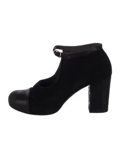 Pre-owned Chie Mihara Suede Pumps In Black