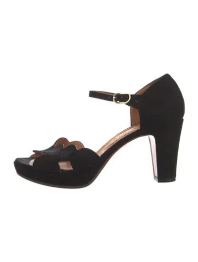 Pre-owned Chie Mihara Suede Pumps In Black
