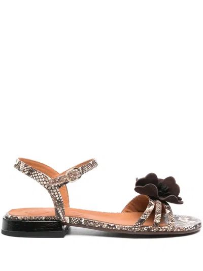 Chie Mihara Tyco Sandals In Brown