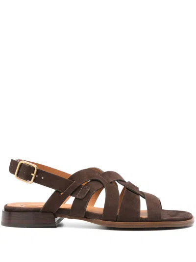 Chie Mihara Walai Sandals In Brown