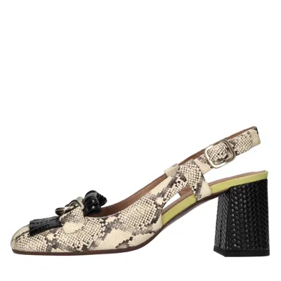 Chie Mihara With Heel In Neutral