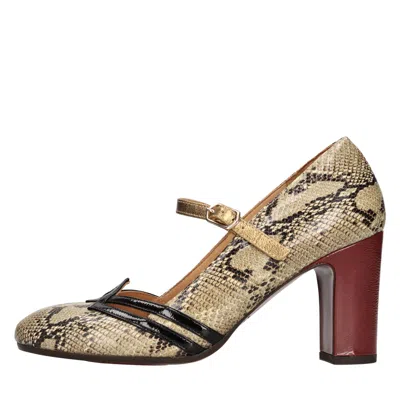 Chie Mihara With Heel In Brown