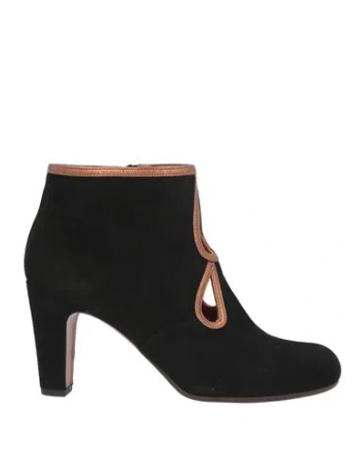 Chie Mihara Woman Ankle Boots Black Size 10 Leather