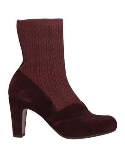 Chie Mihara Woman Ankle Boots Burgundy Size 7 Leather, Textile Fibers In Red