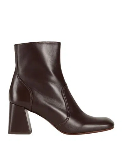Chie Mihara Woman Ankle Boots Dark Brown Size 8 Leather
