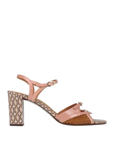 Chie Mihara Woman Sandals Antique Rose Size 7 Leather In Pink