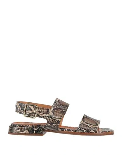 Chie Mihara Woman Sandals Beige Size 5 Leather In Multi
