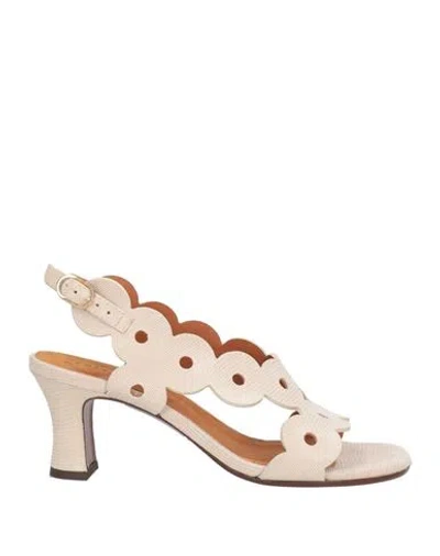 Chie Mihara Woman Sandals Beige Size 8 Leather In Nude