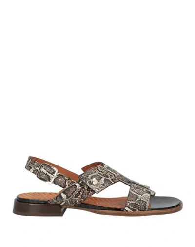 Chie Mihara Woman Sandals Beige Size 8 Leather In Multi