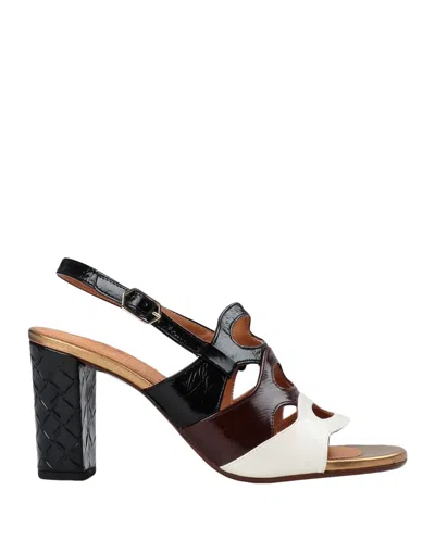 Chie Mihara Sandals In Black