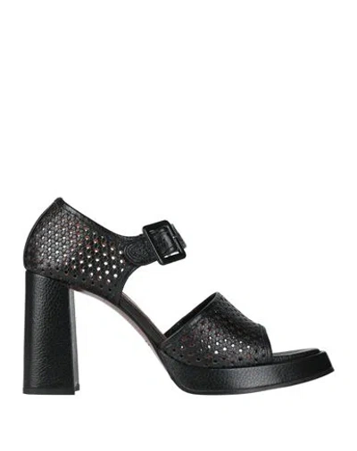 Chie Mihara Woman Sandals Black Size 11 Leather