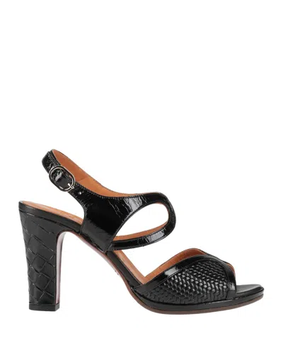 Chie Mihara Sandals In Black