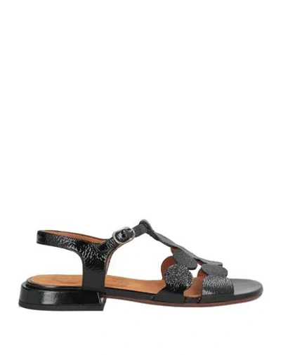 Chie Mihara Woman Sandals Black Size 6 Leather