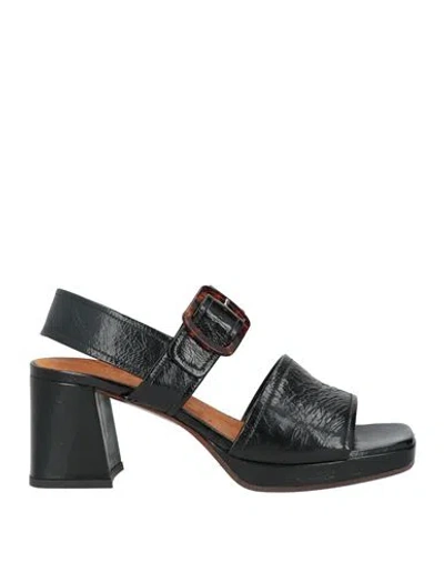 Chie Mihara Woman Sandals Black Size 6 Soft Leather