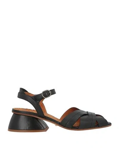 Chie Mihara Woman Sandals Black Size 8 Leather