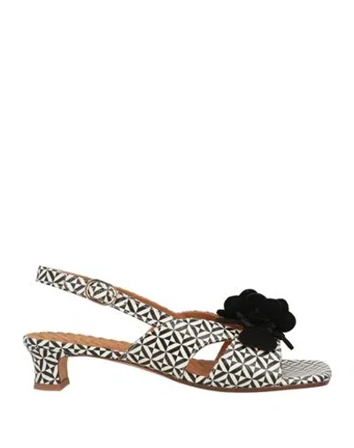 Chie Mihara Woman Sandals Black Size 8 Leather In Multi