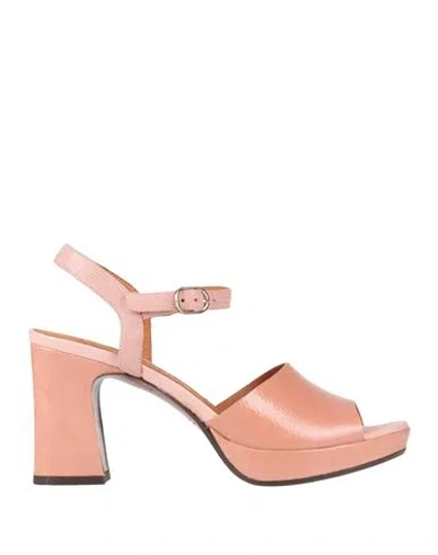 Chie Mihara Woman Sandals Blush Size 7 Leather In Pink