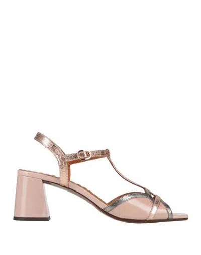 Chie Mihara Woman Sandals Blush Size 8 Leather In Multi