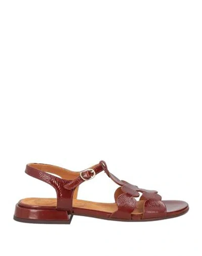 Chie Mihara Woman Sandals Brick Size 8 Leather In Red