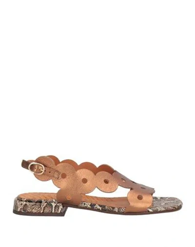 Chie Mihara Woman Sandals Bronze Size 8 Leather In Brown