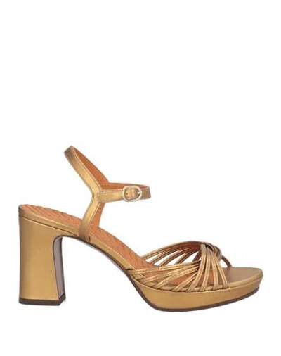 Chie Mihara Woman Sandals Bronze Size 8 Leather In Yellow
