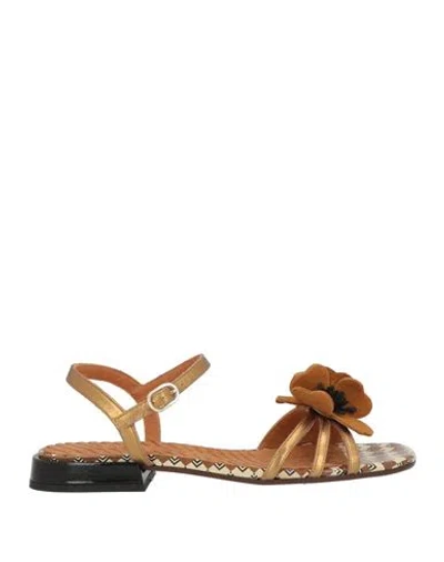 Chie Mihara Woman Sandals Bronze Size 8 Leather In Multi
