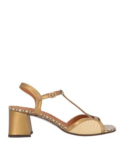 Chie Mihara Woman Sandals Bronze Size 8 Leather In Multi
