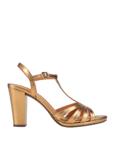 Chie Mihara Sandals In Yellow