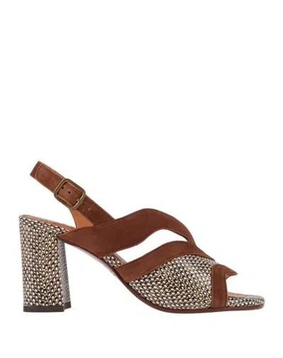 Chie Mihara Woman Sandals Brown Size 6 Soft Leather