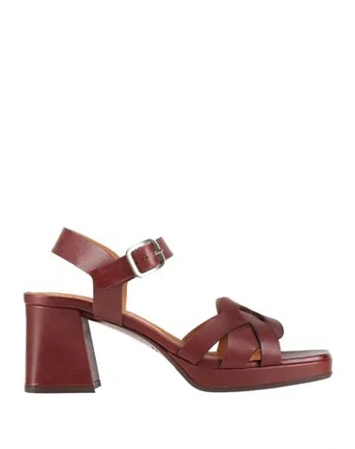 Chie Mihara Woman Sandals Brown Size 7 Leather