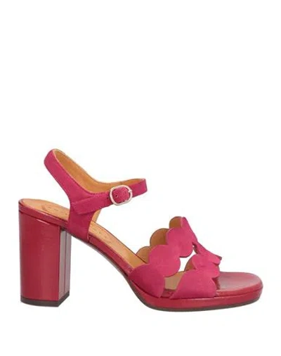 Chie Mihara Woman Sandals Burgundy Size 8 Leather In Pink