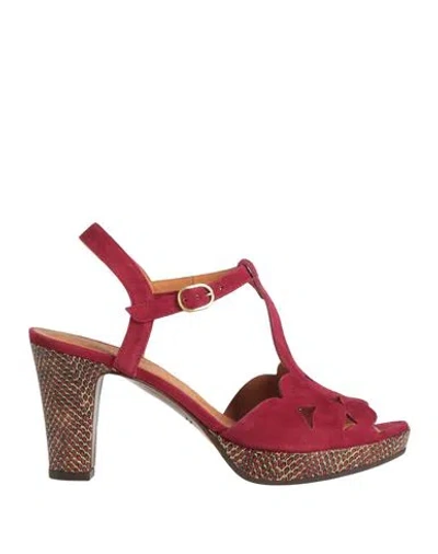 Chie Mihara Woman Sandals Garnet Size 11 Leather In Red