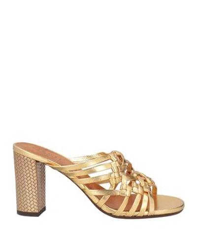 Chie Mihara Woman Sandals Gold Size 7.5 Leather