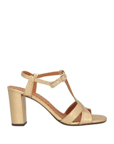 Chie Mihara Woman Sandals Gold Size 8 Leather