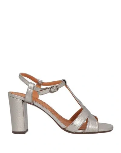 Chie Mihara Woman Sandals Gunmetal Size 8 Leather In Silver