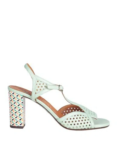 Chie Mihara Woman Sandals Light Green Size 11 Leather