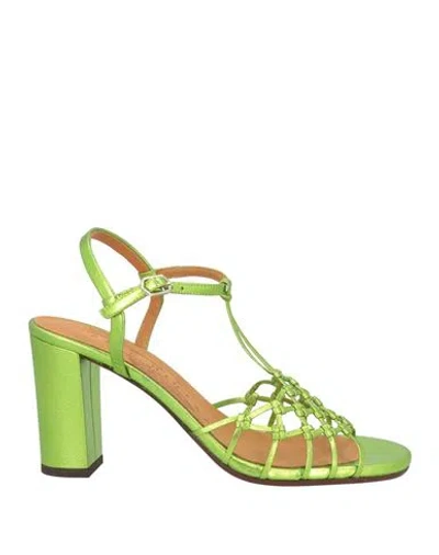 Chie Mihara Woman Sandals Light Green Size 8 Leather In Multi