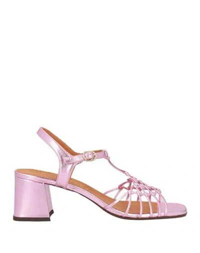 Chie Mihara Woman Sandals Pink Size 8 Leather In Multi