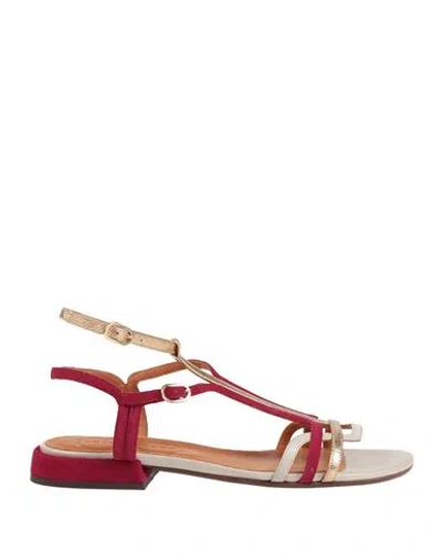 Chie Mihara Woman Sandals Platinum Size 10 Leather In Multi