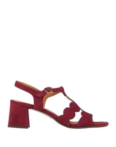 Chie Mihara Woman Sandals Plum Size 6.5 Leather In Burgundy