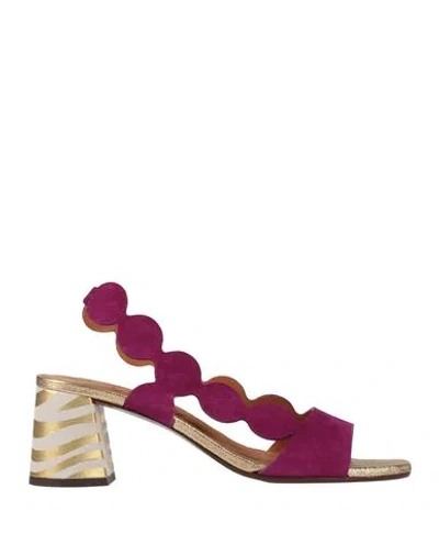 Chie Mihara Woman Sandals Plum Size 8 Leather In Purple