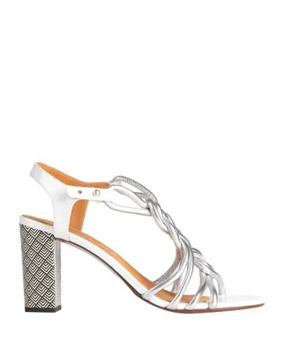 Chie Mihara Woman Sandals Silver Size 6 Leather In Animal Print