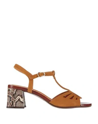 Chie Mihara Woman Sandals Tan Size 6 Leather In Brown