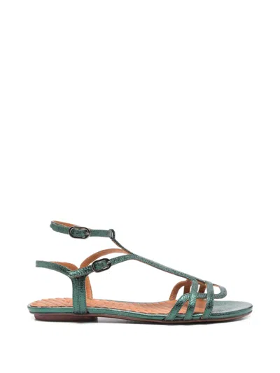 Chie Mihara Yael Sandalen Mit T-riemen In Green