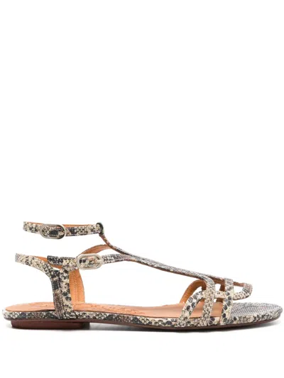 Chie Mihara Yael Snake-print Leather Sandals In Neutrals