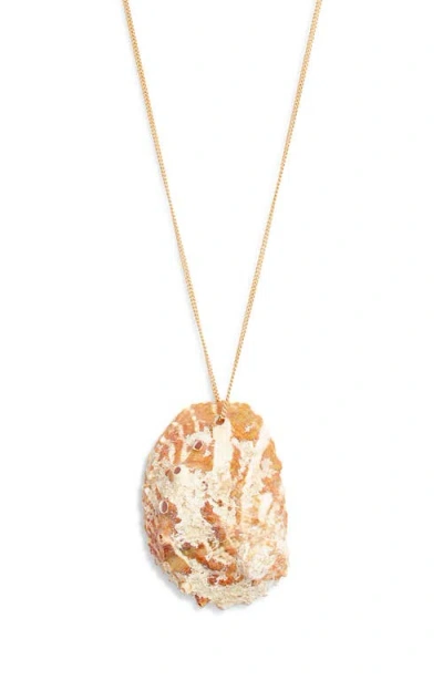 Child Of Wild Salty Siren Abalone Necklace In Gold
