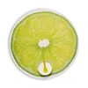Chilewich Citrusplacemat In Green