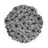 Chilewich Pressed Daisy Table Mat In Black
